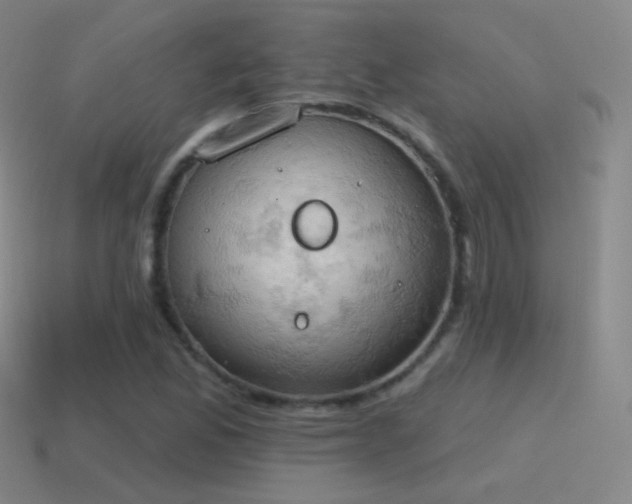 X0000115591165200911101232