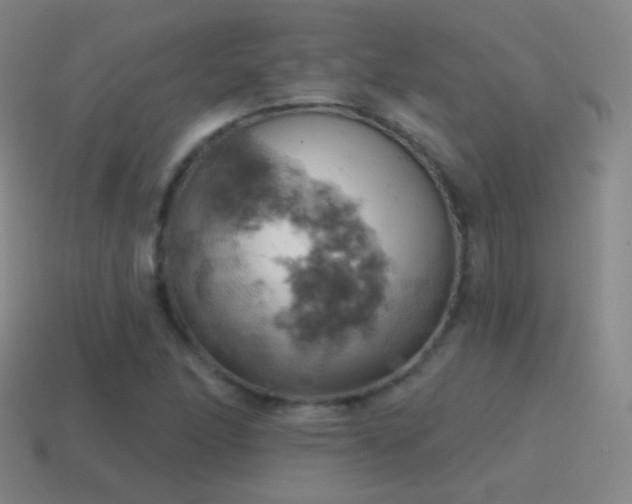 X0000115591166200911101232