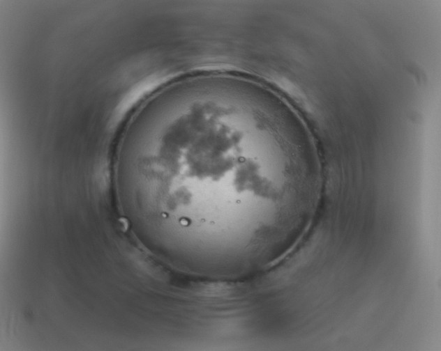 X0000115591167200911101232