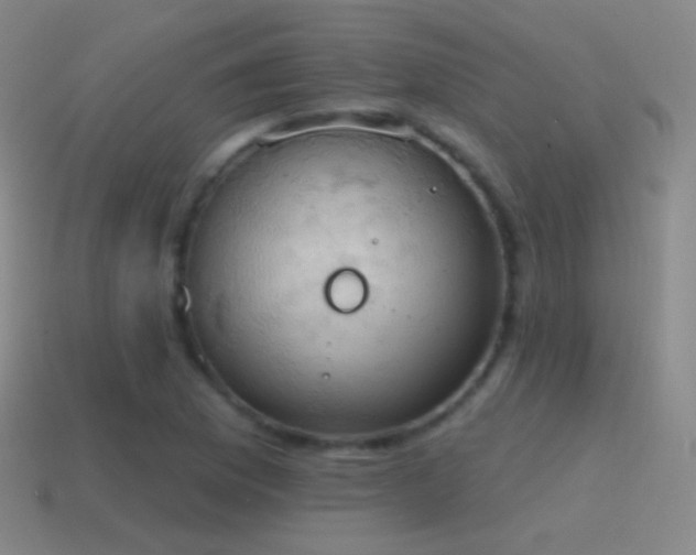 X0000115591169200911101232