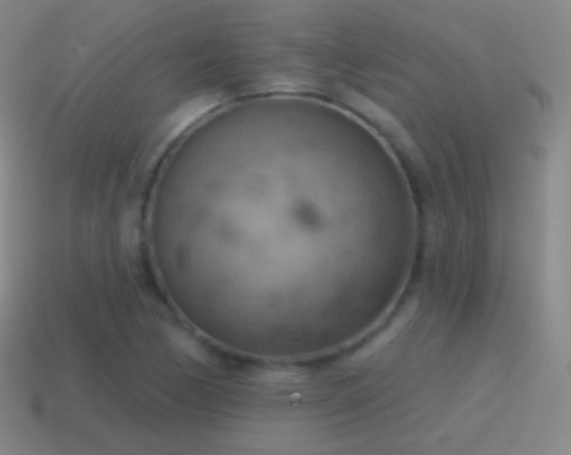 X0000115591170200911101232