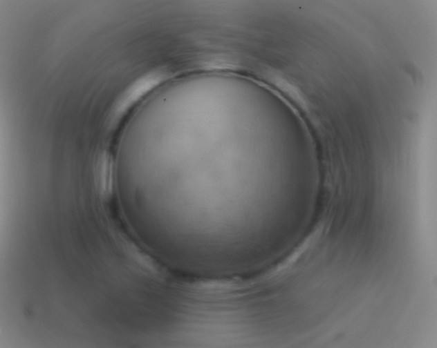 X0000115591171200911101232