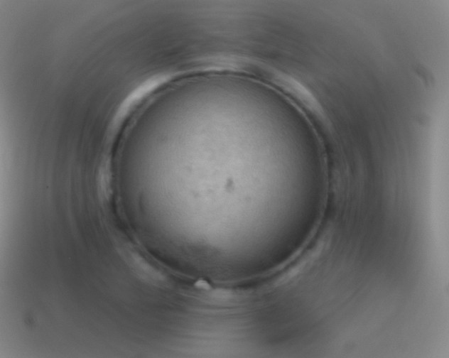 X0000115591172200911101232