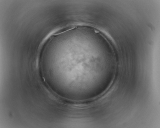 X0000115591173200911101232