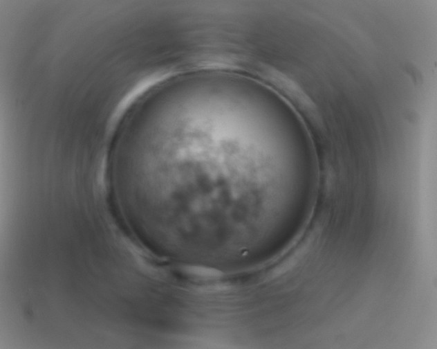 X0000115591174200911101232