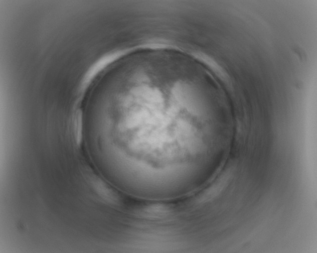 X0000115591175200911101232