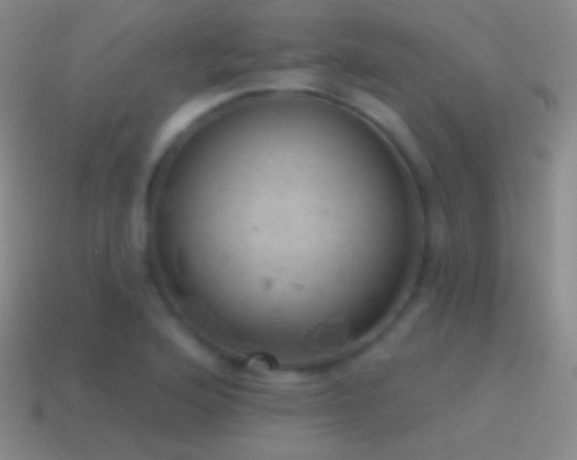 X0000115591176200911101232