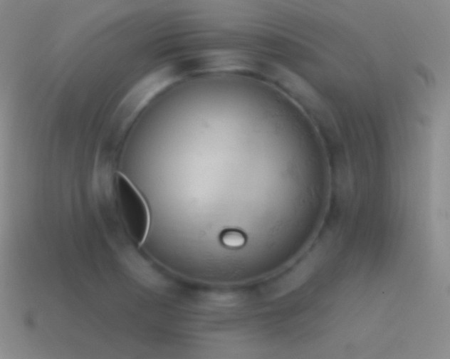 X0000115591177200911101232