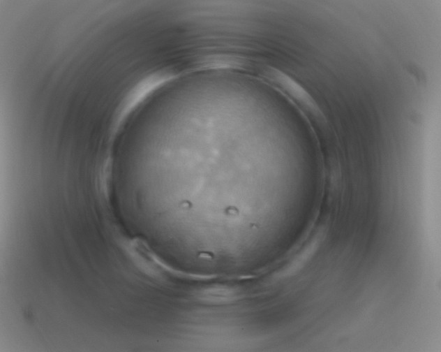 X0000115591178200911101232