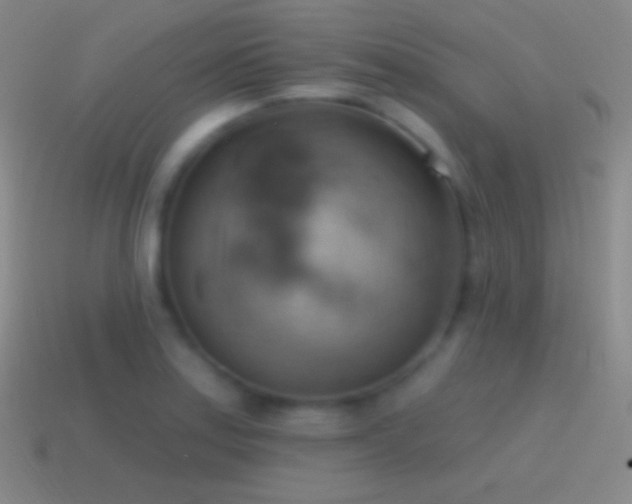 X0000115591179200911101232