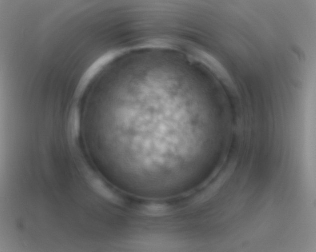 X0000115591180200911101232