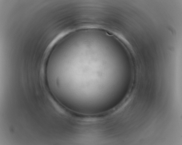 X0000115591181200911101232