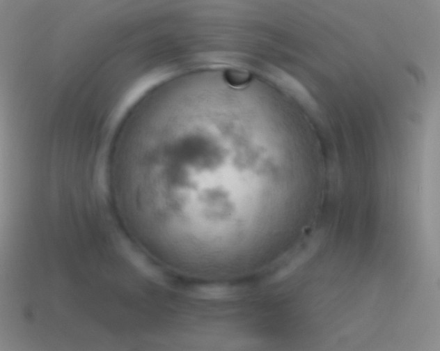 X0000115591182200911101232