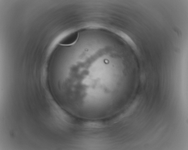 X0000115591183200911101232