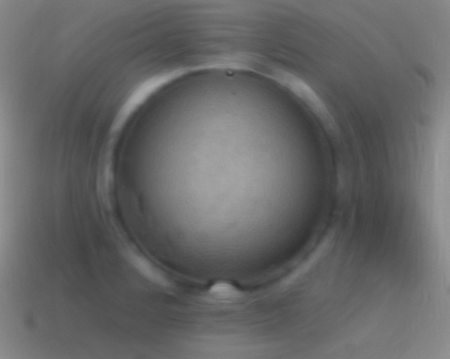 X0000115591184200911101232