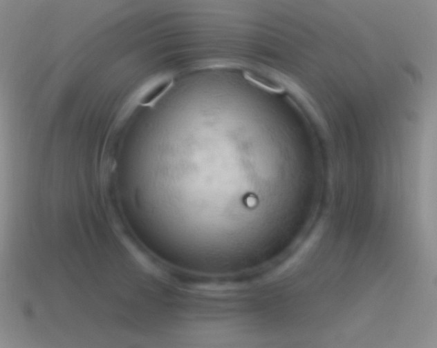 X0000115591185200911101232