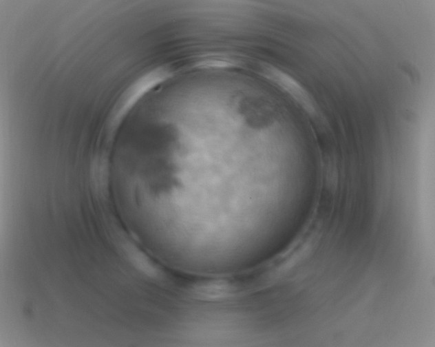 X0000115591186200911101232