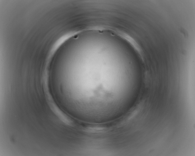 X0000115591187200911101232