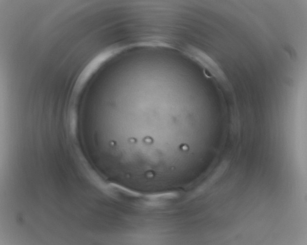 X0000115591188200911101232