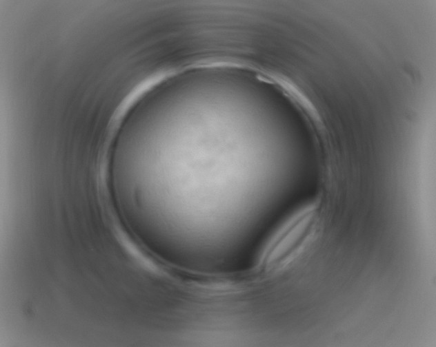 X0000115591189200911101232