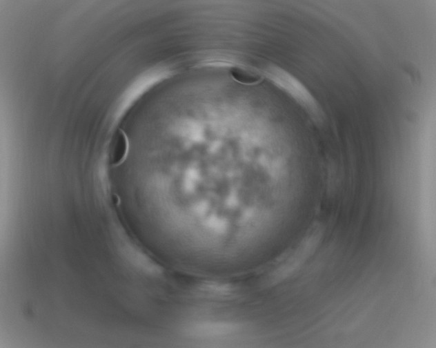 X0000115591190200911101232