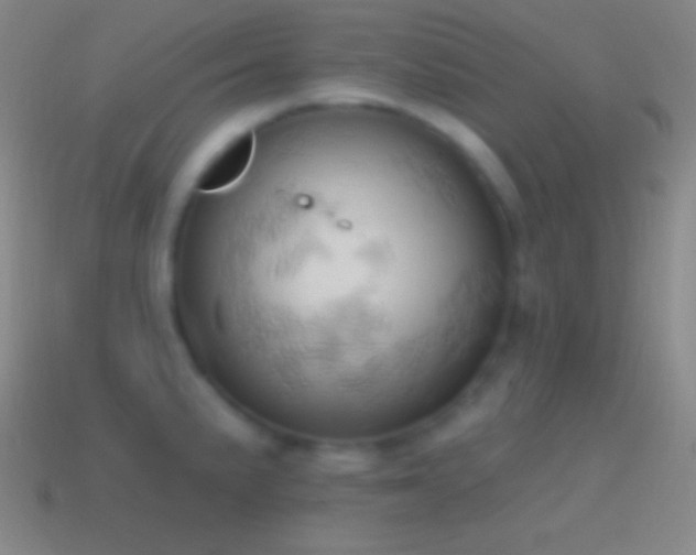 X0000115591191200911101232