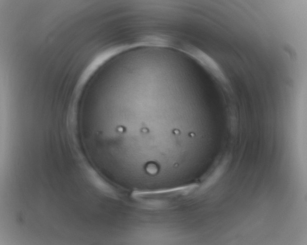 X0000115591192200911101232