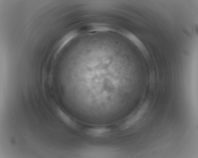 X0000115591193200911101232