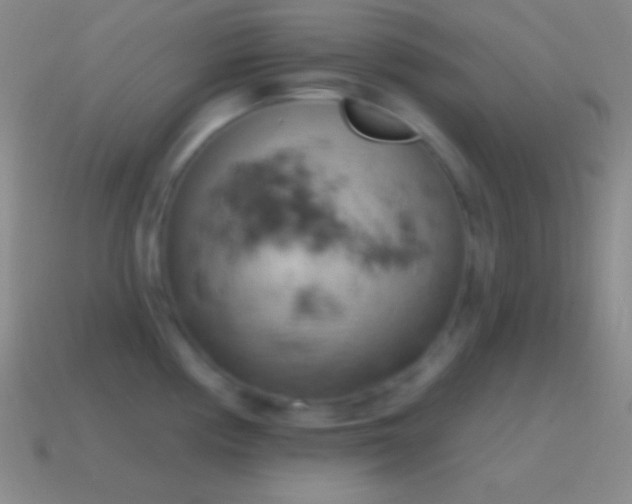 X0000115591194200911101232