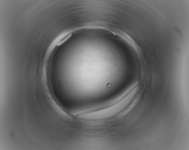 X0000115591196200911101232