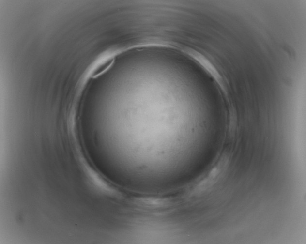 X0000115591197200911101232