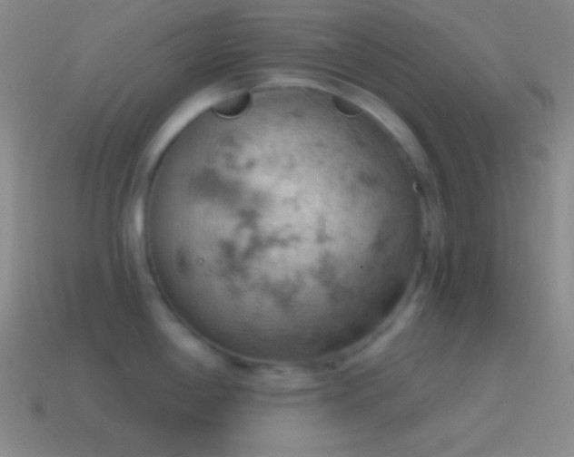 X0000115591198200911101232