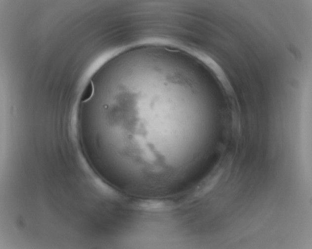 X0000115591199200911101232