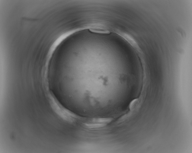 X0000115591200200911101232