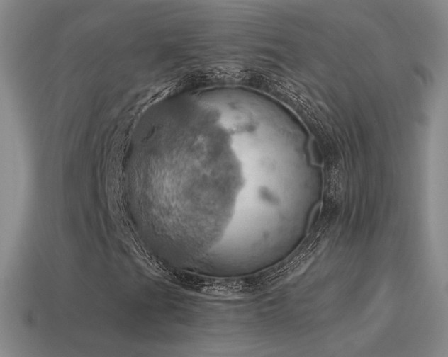 X0000115591201200911101231