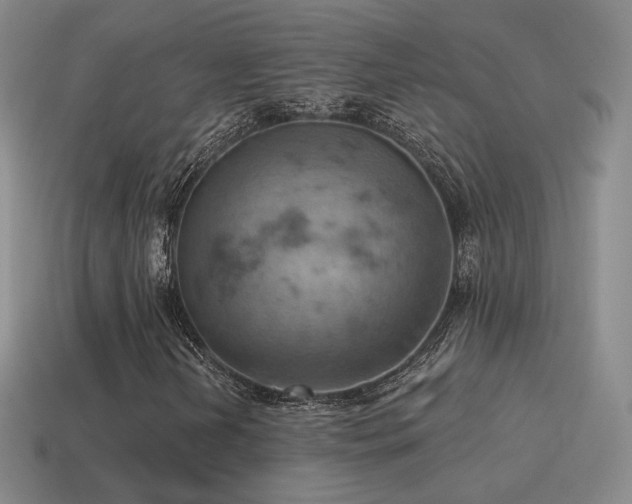 X0000115591202200911101231