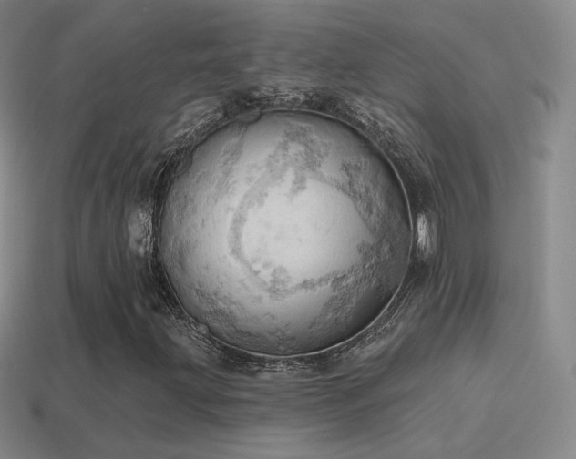 X0000115591203200911101231