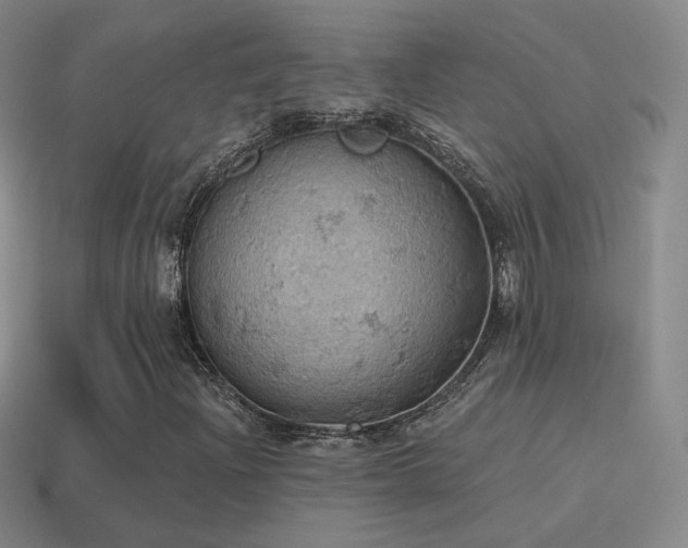 X0000115591204200911101231