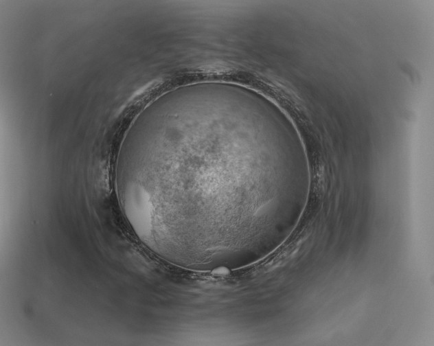 X0000115591205200911101231