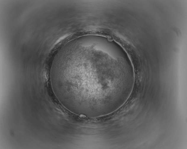 X0000115591206200911101231