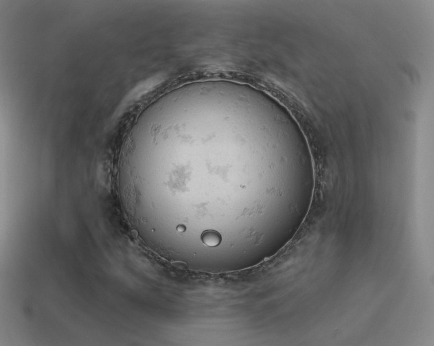 X0000115591207200911101231