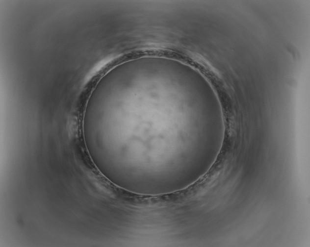 X0000115591208200911101231