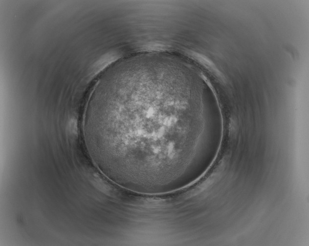 X0000115591209200911101231