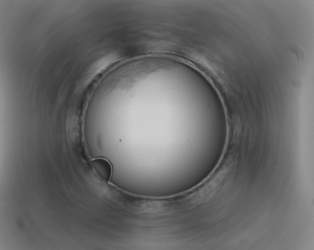 X0000115591211200911101231