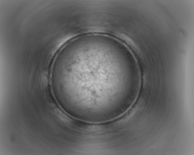 X0000115591212200911101231