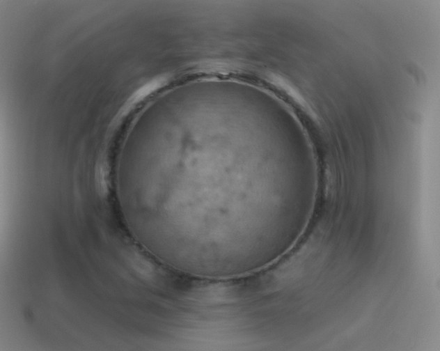 X0000115591213200911101231