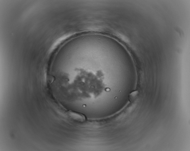 X0000115591214200911101231