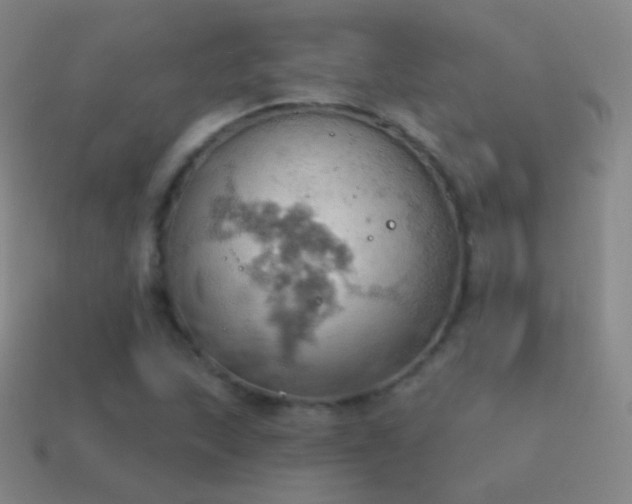 X0000115591215200911101231