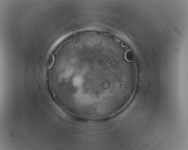 X0000115591216200911101231