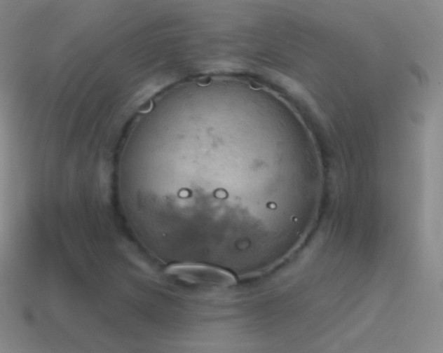 X0000115591217200911101231